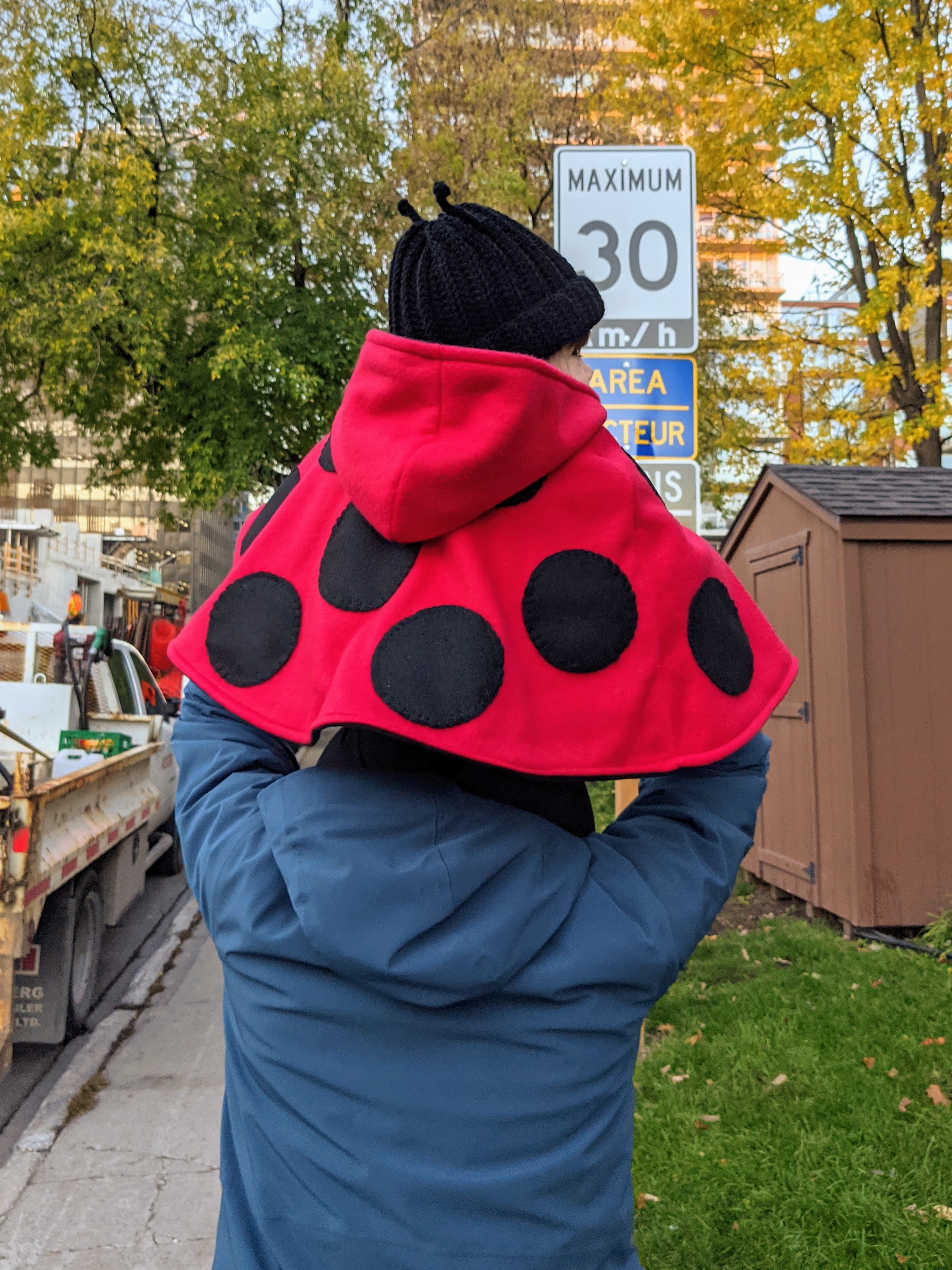 Photo of handmade ladybug costume